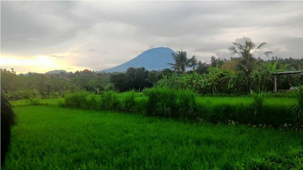 Pondok Intaran Karangasem  Ngoại thất bức ảnh